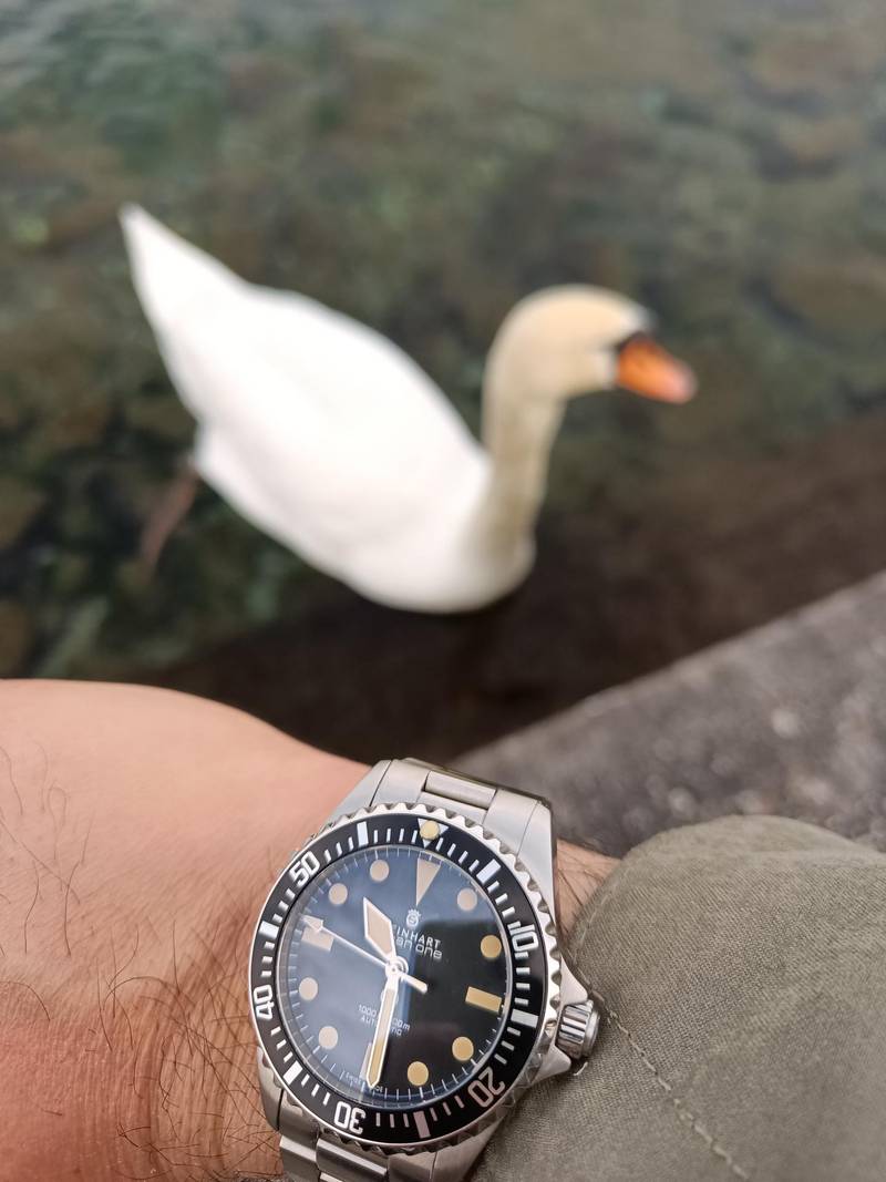 Steinhart Ocean Vintage Military 39 - Gnomon Exclusive