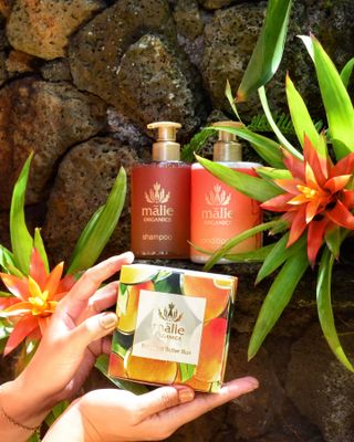 【新品】Malie シャンプー＆コンディショナー2本セット 新品】Malie シャンプー＆コンディショナー2本セット 新品】Malie