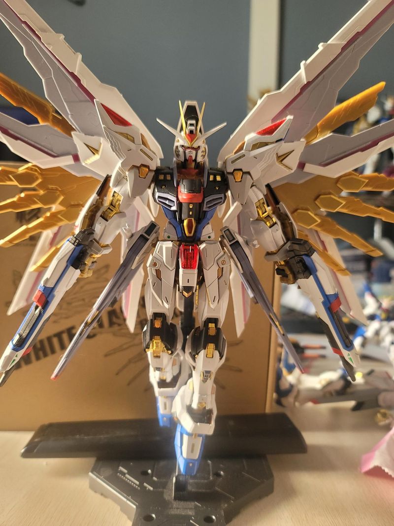 MGEX 1/100サイズ専用 マイティーストライクフリーダム　バックパック 71q+sWb8ipL._UF894,1000_QL80_.jpg