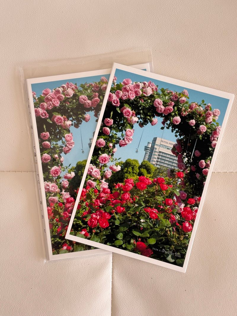 絹目プリント｜EPSON プロフォト厚手絹目 - PHOTOPRI