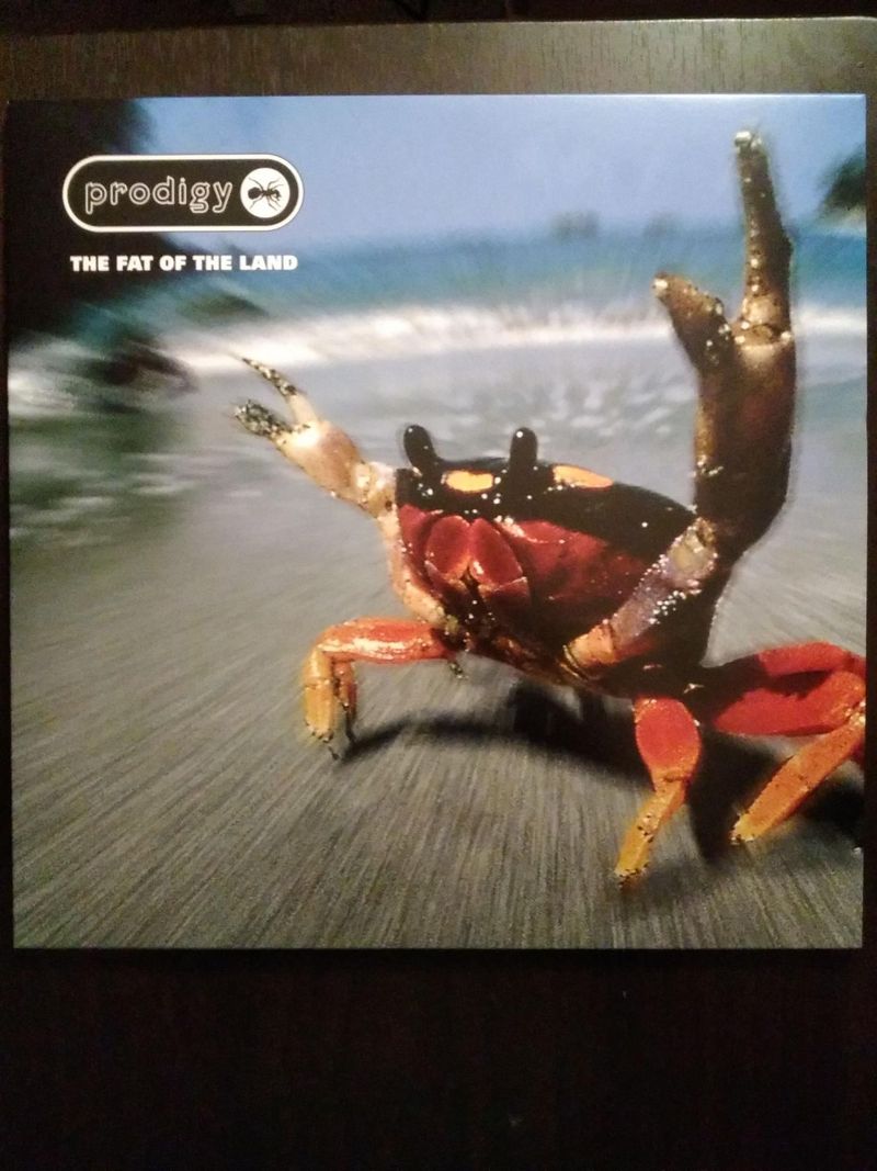 The Prodigy: The Fat Of The Land Vinyl 2LP – TurntableLab.com
